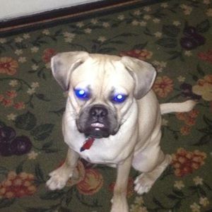 Meet your Posher, Teisha